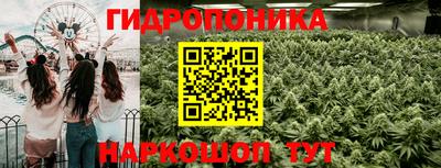 скорость Кимры