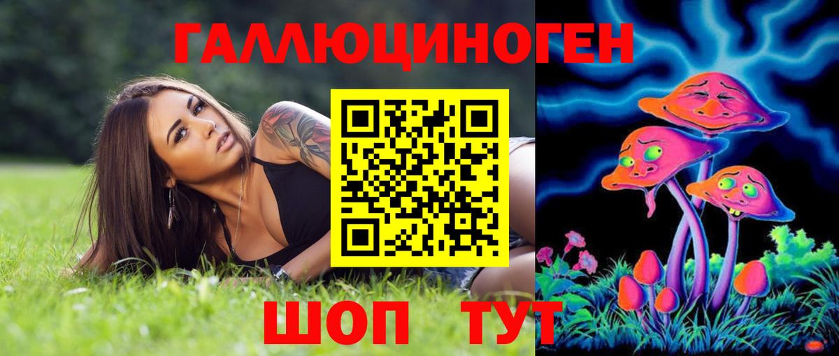 Южноуральск  Псилоцибиновые грибы Psilocybine cubensis  Вход с VPN 